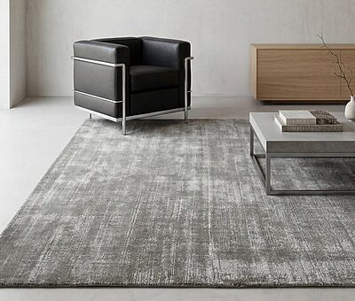 Carpet Edition